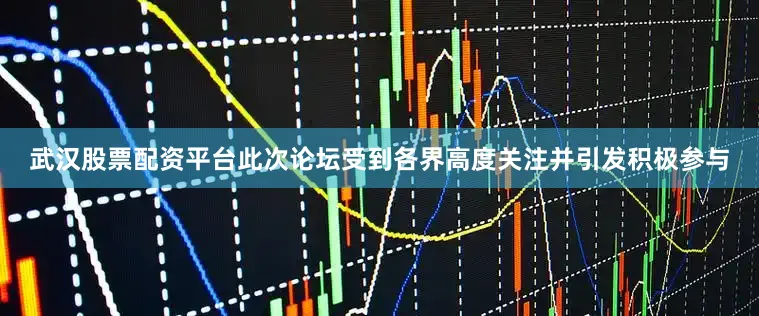 武汉股票配资平台此次论坛受到各界高度关注并引发积极参与