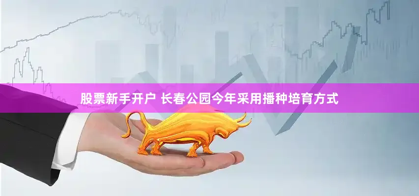 股票新手开户 长春公园今年采用播种培育方式